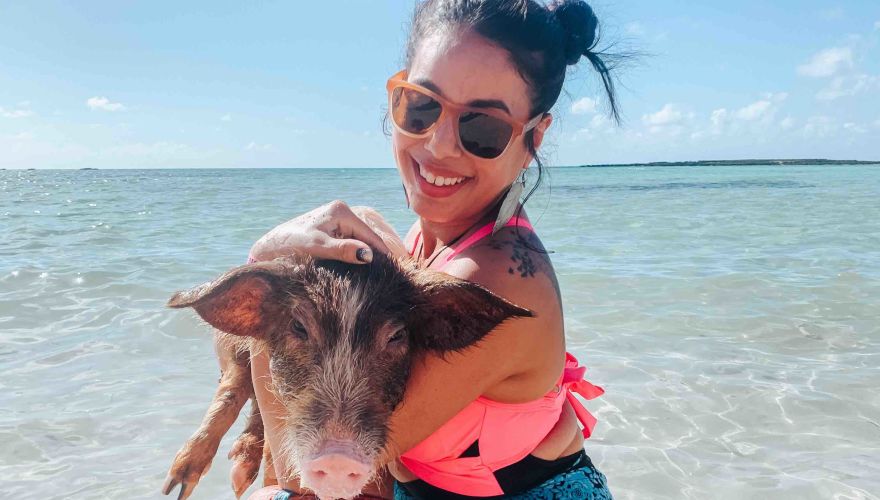 Swim with the Pigs & City Experience