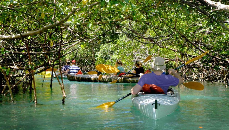 Ultimate Kayak and Ecological Tour