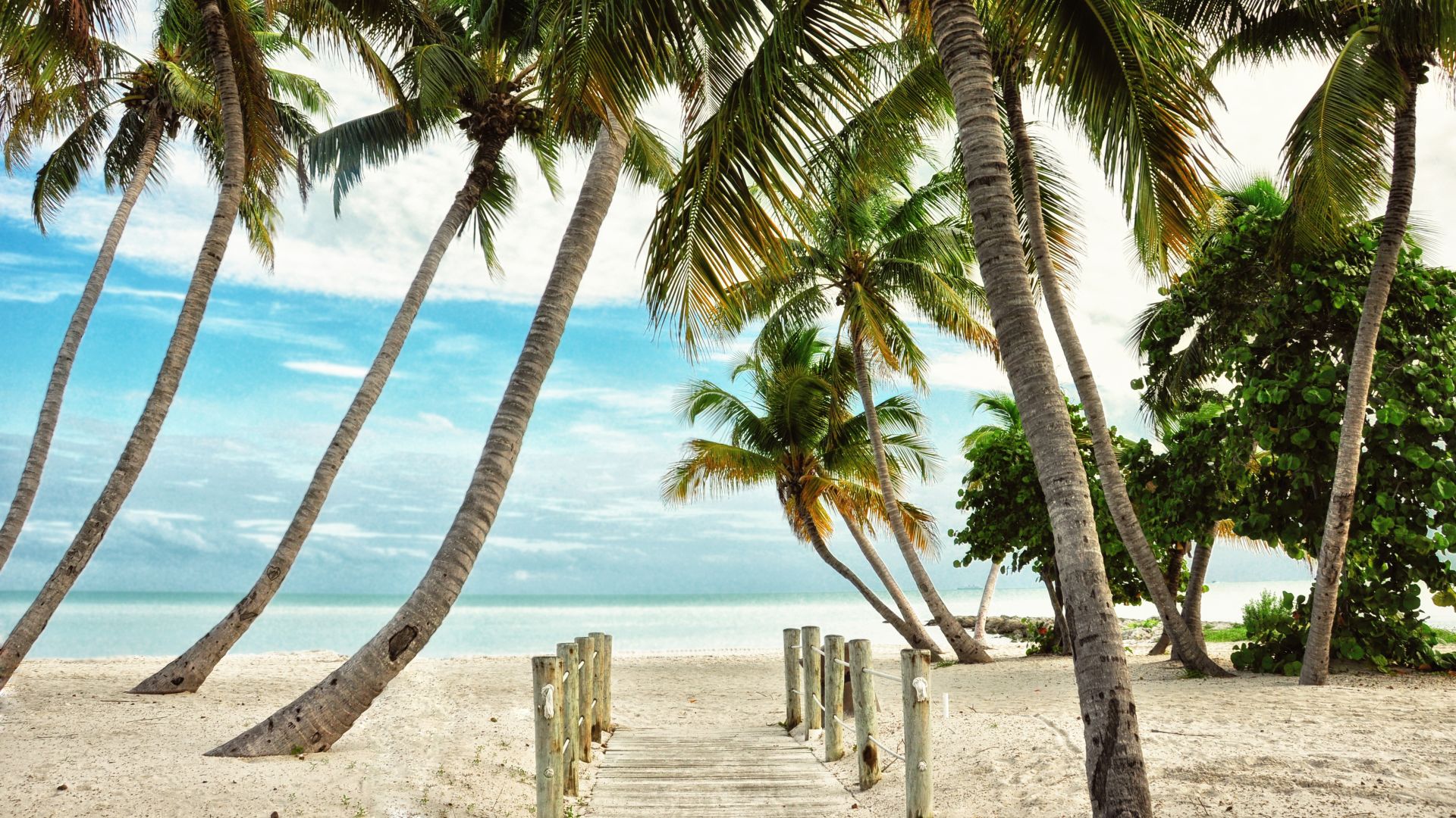 A Beach With Palm Trees