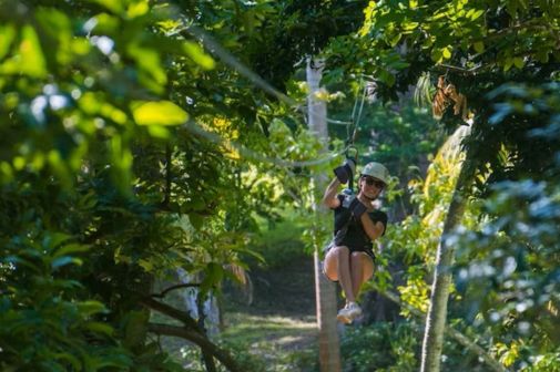 A Person Climbing A Tree